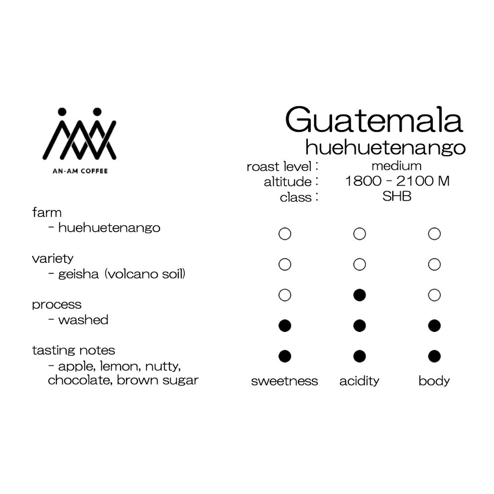 Guatemala．Huehuetenango / 危地馬拉．薇薇特南果 200g